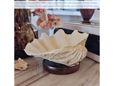 Kokosnussschale für Pflanzen unpolierte Schale Gravur Holzschalen und Teller