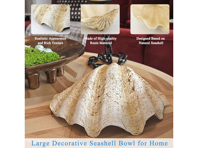 Kokosnussschale für Pflanzen unpolierte Schale Gravur Holzschalen und Teller