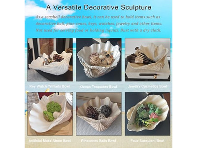 Kokosnussschale für Pflanzen unpolierte Schale Gravur Holzschalen und Teller