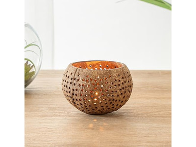 Kokosnussschale Kostenloser Versand Weiße Lackierte Natürliche Jumbo Polierte Sets