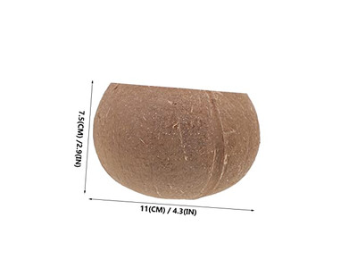 Kokosnussschale Großhandelsverpackung für Getränke aus einem Set von 2 Schalen