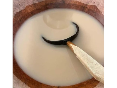 Kokosnussschalen-Handwerk lackierte Schale lackierte-Kokosnussschalen