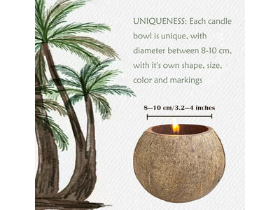 Umweltfreundliche Tönung Schale Runde Pizzateig Dekorative Salatschalen Kokosnuss