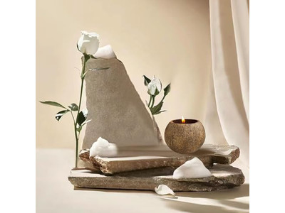 Umweltfreundliche Tönung Schale Runde Pizzateig Dekorative Salatschalen Kokosnuss