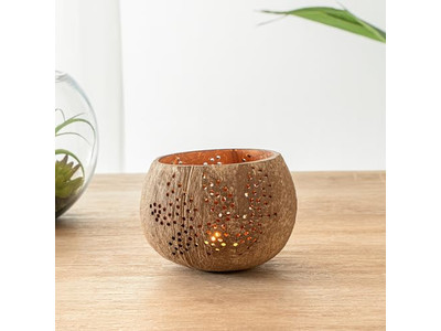 Salatschale mit Deckel Bunte Kokosnuss für Haustiere Gesund Langlebig Vietnam Trends Schalen