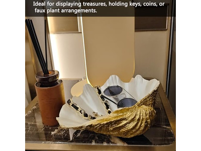 Kokosnussschale in Vietnam neues Design polierte Schalen Kunst und Handwerk aus Schale