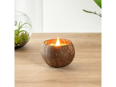 Frische Bio-Kokosnüsse verkaufen Kokosnussschalen handgefertigte Coco-Schalen-Wachs