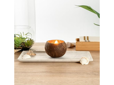 Frische Bio-Kokosnüsse verkaufen Kokosnussschalen handgefertigte Coco-Schalen-Wachs