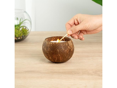 Frische Bio-Kokosnüsse verkaufen Kokosnussschalen handgefertigte Coco-Schalen-Wachs