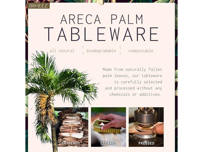 Veganer Kokosnussschalen mit Halter natürlicher Stamm günstiger Preis Schalen in Vietnam